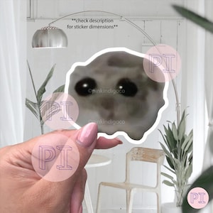 Trauriger Hamster Aufkleber, Hamster meme Aufkleber, Hamster Aufkleber, meme Aufkleber, trauriger Hamster Laptop Aufkleber, ich bin nur ein Mädchen, Tiktok