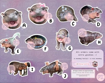 Pegatina de Moo Deng, pegatina de pigmeo bebé, pegatina de hipopótamo bebé, pegatina divertida, club de fans de Moo Deng, meme de hipopótamo de tiktok, ideas de regalo de pesto