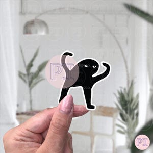 Black Cat Meme Sticker | Cursed Cat Sticker | Cursed Cat Meme Sticker | Cursed Cat Meme | Black Cat Sticker | Cursed Cat | Laptop Sticker
