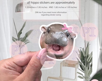 Pegatina de Moo Deng, pegatina de pigmeo bebé, pegatina de hipopótamo bebé, pegatina divertida, club de fans de Moo Deng, meme de hipopótamo de tiktok, ideas de regalo de pesto