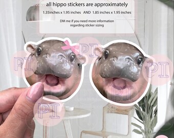 Pegatina de Moo Deng, pegatina de pigmeo bebé, pegatina de hipopótamo bebé, pegatina divertida, club de fans de Moo Deng, meme de hipopótamo de tiktok, ideas de regalo de pesto