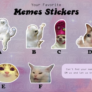 Meme Stickers, Meme Sticker, Animal Meme Sticker, Cat Meme Dog Meme  Laptop stickers, laptop sticker journal sticker funny sticker gift idea