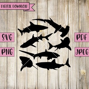 Sharks Svg, Shark Clipart, Shark Decal, Shark Svg, Ocean Animal Svg, Ocean Svg, Fish Svg, Shark Teeth Svg, Silhouette, Cricut, Vinyl, Jpeg