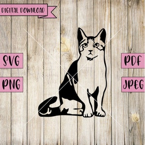 May include: Black and white silhouette of a cat sitting with its tail curled around its legs. The cat is looking up with a curious expression.