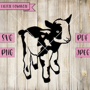 Baby Cow Svg, Baby Cow Clipart, Cow Decal, Calf Svg, Baby Animal Svg, Baby Calf Svg, Calf, Silhouette, Cricut, Vinyl, Laser Cut Files, Jpeg