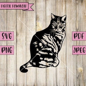 May include: Black and white silhouette of a cat sitting with its tail curled around its body. The cat has a striped pattern.