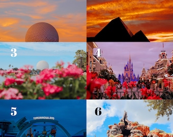 Disney World Photo Prints