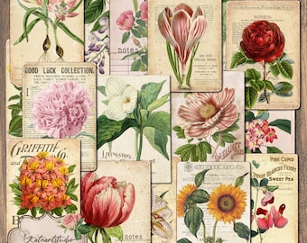 32 Botanical Journal Cards, Ephemera, Junk Journal Kit, Junk Journaling Digitals, Collage Sheet, Flowers
