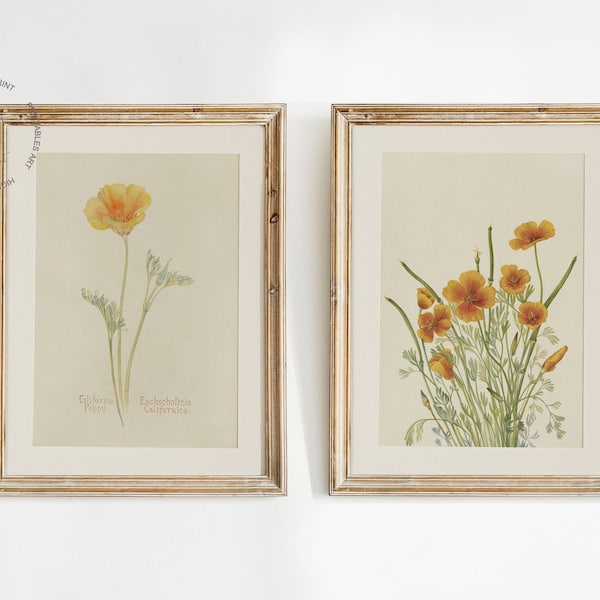 Set of 2 Poppy Prints, California Poppy Prints, Mexican Poppy, Vintage Flower Painting,  Poppies Art, Vintage Spring Summer Prints