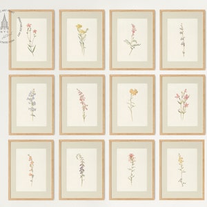 Lot de 12 peintures murales vintage de galerie de gravures botaniques, affiche florale, art mural botanique rustique, estampes botaniques anciennes, estampes de fleurs vintage