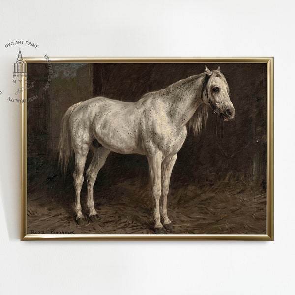 Vintage Horse Prints, Horse Painting, Equestrian Wall Art, Horse Decor, White Horse in a Stable,  Vintage Equestrian Print, A005