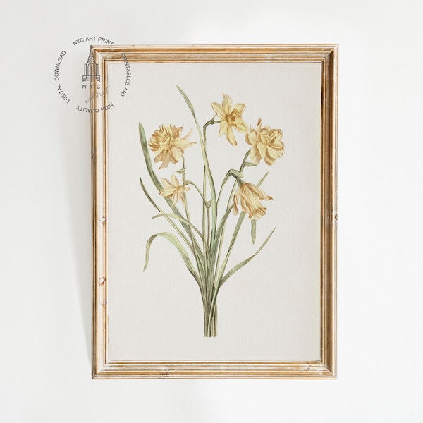 Vintage Daffodils Prints, Daffodils Art, Vintage Botanical Print, Antique Daffodils Printable,  Spring Decor, Easter Decor