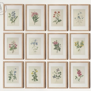 Vintage Botanical Gallery wall Set of 12, Botanical Prints, Vintage Floral Prints, French Country Farmhouse Prints, Pierre Joseph Redoute