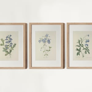 Vintage Blue Botanical Gallery wall Set of 3, Blue Flower Art, Blue Floral Prints, French Country Farmhouse Prints, Pierre Joseph Redoute