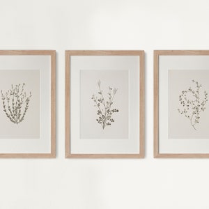 Lot de 3 estampes botaniques vintage, estampes botaniques neutres vintage, estampes botaniques anciennes, art mural botanique rustique