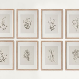 Vintage Botanical Prints Gallery wall Set of 8, Vintage Neutral Botanical prints, Antique Botanical Prints, Rustic Botanical wall Art 03