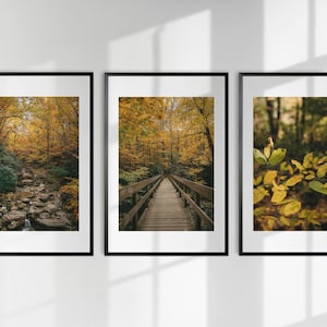 Herbst Wandkunst, Herbst Galerie-Wand 3er-Set, Herbst druckbare Wandkunst, Herbst Dekor, Herbst Natur Poster, Thanksgiving-Dekor, Bauernhaus Druck