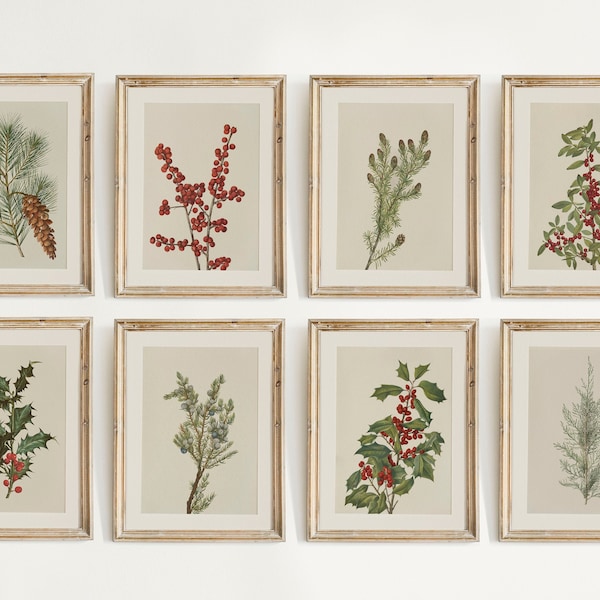 Winter botanische prints, Pine Tree Branch, Gallery Wall Set van 8, Vintage Kerst afdrukbare muurkunst, vakantiedecor, boerderij afdrukbaar