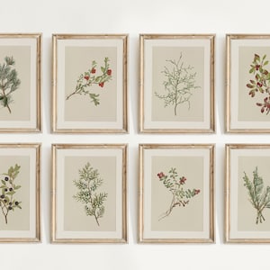 Winter Botanical Prints, Gallery Wall Set of 8, Vintage Christmas Printable Wall Art, Holiday Decor, Farmhouse Printable 02