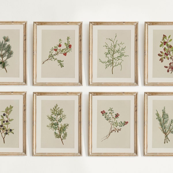 Winter botanische prints, galerij muur set van 8, vintage kerst afdrukbare muurkunst, vakantie decor, boerderij afdrukbare 02