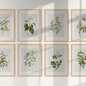 Vintage Botanical Prints Gallery Wall Set of 8, Floral Poster ...
