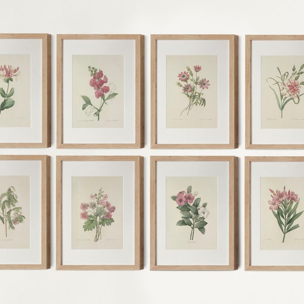 Vintage Pink Botanical Gallery Wall Set of 8, Pink Flower Art, Pink Floral Prints, French Country Farmhouse Prints, Pierre Joseph Redoute