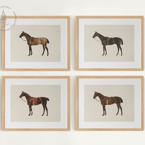 Vintage Horse Gallery Wall Set of 4, Bay Horse Prints, Vintage Horse Painting, Equestrian Wall Art, Horse Decor, Farmhouse Decor