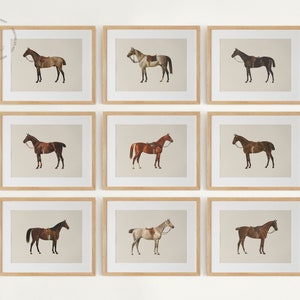 Vintage Pferdegalerie Wandset von 9, Pferdedrucke, Vintage Pferdegemälde, Reiterwandkunst, Pferdedekor, Bauernhausdekor, Pferdeposter