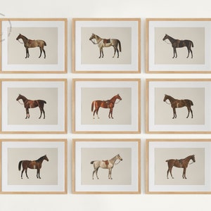 Juego de 9 cuadros de caballos vintage para pared, impresiones de caballos, cuadros de caballos, arte ecuestre para pared, decoración de caballos, decoración de granjas, póster de caballos HC01