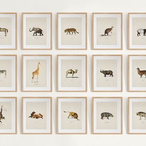 Safari Animal Gallery Wall Set of 15, Safari Nursery Art Prints, Vintage Animal Painting,  Animal Wall Art, Forest Animal Prints