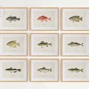 Fish Painting 