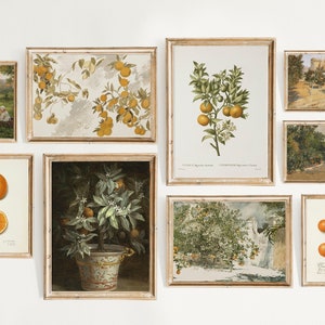 Vintage Summer Gallery Wall Set of 9, Farmhouse Kitchen, Bright Wall Art, Spanish Kitchen Decor, Orange Prints, Summer Print, Citrus Print