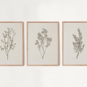 Set of 3 Vintage Botanical Prints, Vintage Neutral Botanical prints, Antique Botanical Prints, Rustic Botanical wall Art