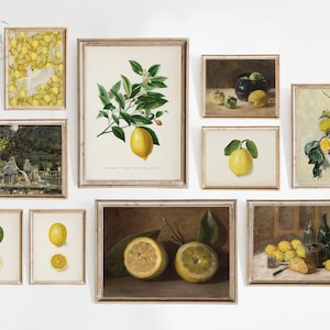 Vintage Lemon Gallery Wall Set of 10, Lemon Prints, Antique Fruit Painting, Kitchen Decor, Kitchen Wall Art, Vintage Citrus Printable