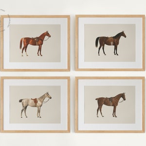 Juego de 4 impresiones de caballos vintage para pared, cuadros de caballos vintage, arte ecuestre, decoración de caballos, decoración de granja, póster de caballos