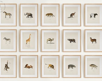 Safari Animal Gallery Wall Set of 15, Safari Nursery Art Prints, Vintage Animal Painting,  Animal Wall Art, Forest Animal Prints