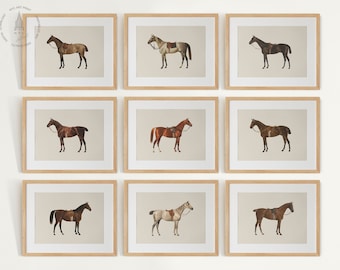 Vintage paard galerij muur set van 9, paard prints, vintage paard schilderij, hippische kunst aan de muur, paard decor, decor van de boerderij, paard poster
