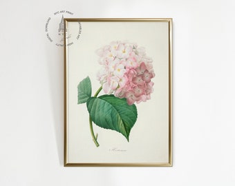 Vintage Hydrangea Print, Hydrangea Painting, Spring Decor, Vintage Hydrangea Branch Art Print, Pink Hydrangea Flowers Printable Wall Art