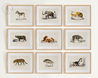 Safari Animal Gallery Wall Set of 9, Safari Nursery Art Prints, Vintage Animal Painting,  Animal Wall Art, Forest Animal Prints