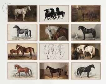May include: A collage of twelve vintage illustrations of horses. The illustrations are in various styles, including black and white line drawings, watercolor paintings, and engravings. The horses are depicted in a variety of poses, including standing, running, and jumping. Some of the illustrations feature horses in stables or other settings.