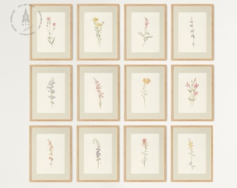 Vintage Botanical Prints Gallery wall Set of 12, Floral Poster, Rustic Botanical Wall Art, Antique Botanical Prints, Vintage Flower Prints