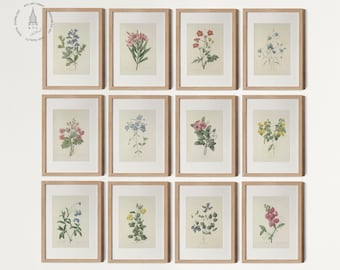 Vintage Botanical Gallery pared Conjunto de 12, Estampados botánicos, Estampados florales vintage, Estampados de granjas de campo francesas, Pierre Joseph Redoute