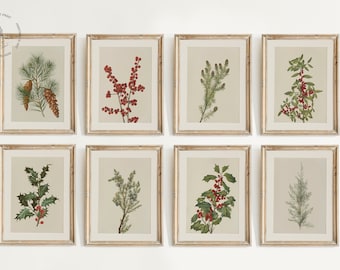 Puede incluir: Conjunto de ocho estampados botánicos con diferentes plantas de invierno y bayas. Las estampas están enmarcadas en un marco de madera clara y están dispuestas en forma de cuadrícula en una pared blanca.