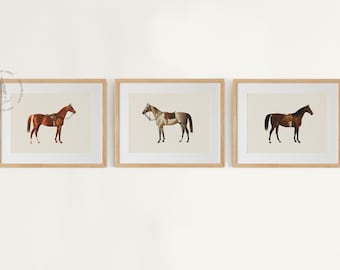 Vintage paard galerij muur set van 3, paard prints, vintage paard schilderij, hippische kunst aan de muur, paard decor, decor van de boerderij, paard poster