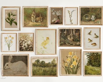 May include: A gallery wall of 12 framed prints featuring nature scenes, including flowers, birds, rabbits, and a duckling. The prints are all in a similar style, with a vintage aesthetic.