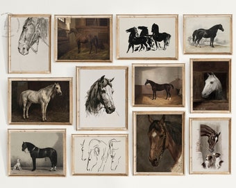 Conjunto de 12 caballos vintage, grabados de caballos, pintura de caballos vintage, arte de pared ecuestre, decoración de caballos, decoración rústica, cartel de caballos