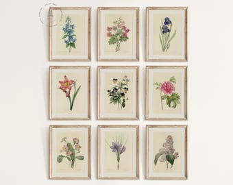 Vintage Spring Flowers Gallery Wall Set of 9, Spring Botanical Prints, Spring Wall Art,  Spring Decor, Pierre Joseph Redoute 02