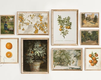 Vintage Summer Gallery Wall Set of 9, Farmhouse Kitchen, Bright Wall Art, Spanish Kitchen Decor, Orange Prints, Summer Print, Citrus Print