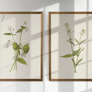 May include: Two framed botanical prints featuring detailed illustrations of wildflowers. The prints showcase white flowers with green leaves and stems against a cream-colored background. The frames are made of wood. The prints are labeled "NYC ART PRINT" and "DIGITAL DOWNLOAD".