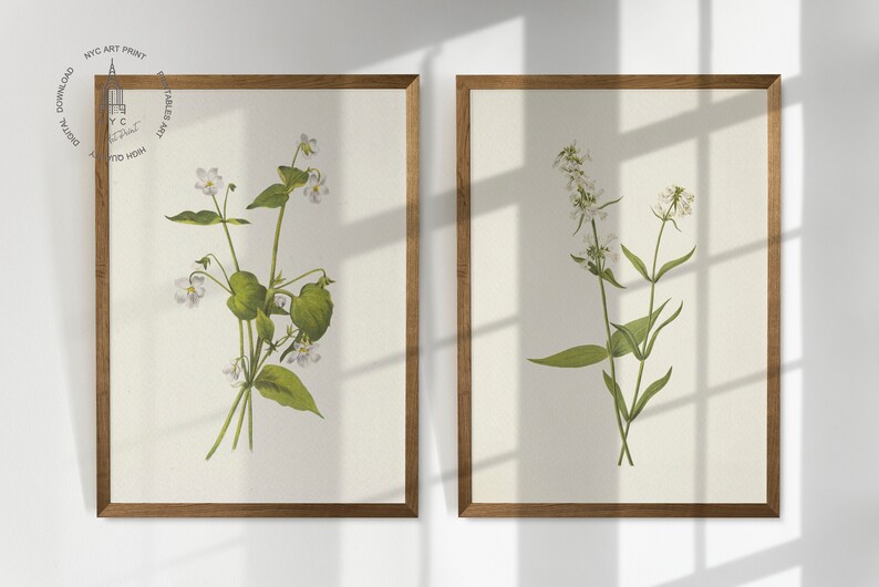 May include: Two framed botanical prints featuring detailed illustrations of wildflowers. The prints showcase white flowers with green leaves and stems against a cream-colored background. The frames are made of wood. The prints are labeled "NYC ART PRINT" and "DIGITAL DOWNLOAD".